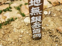 -金谷域澳洲庄园