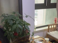 -张钰强中医正骨推拿连锁(华发商都店)