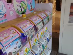 -布吉佳兆业广场