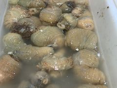 -胖大嫂渔家排档·全海景餐厅(渔村店)