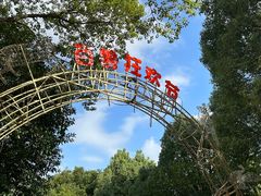 -杭州野生动物世界