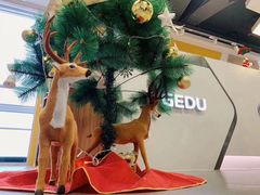 -环球雅思·托福·ALevel·OSSD·DSE·留学英语培训学校(体育西校区)