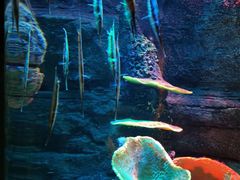 -沈阳海洋探索中心