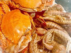 -天天鱼港·海鲜·鲅鱼水饺·招牌烤鸭(黄骅店)