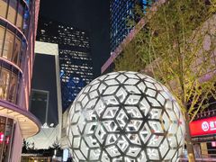 -中央广播电视总台(光华路办公区)