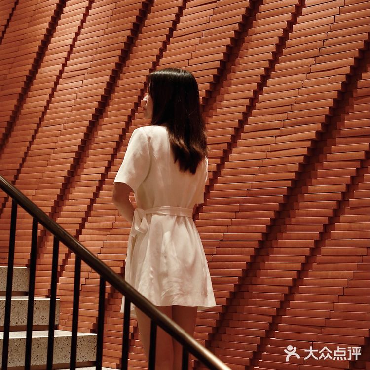 厦门探店🧱好吃又高级的米其林餐厅🍴