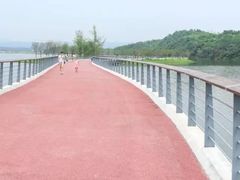 -白鹭湾湿地公园