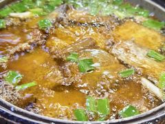 -苏启渔港(云南北路店)