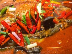 毛血旺烤鱼-探鱼·鲜青椒爽麻烤鱼(增城东汇城店)