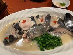 白汁回鱼-镇江苏宁万豪酒店-苏筵中餐厅