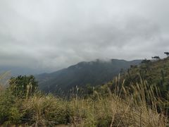 -军营村