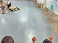 -无锡动物园·太湖欢乐园
