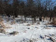 -长白山万达锦华套房酒店