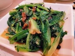 豆豉鲮鱼炒苦麦菜-潮庭港式茶餐厅·熊仔奶茶(同济广场店)