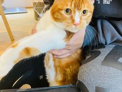 -Pets First伊珊娜洗护·精致美容·家庭式寄养(新会路店)