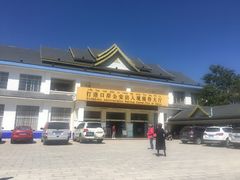 -打洛口岸