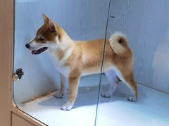 -乐宠宠物店(世纪金源店)