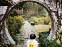 -龙井草堂