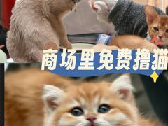 -万达广场(北京槐房店)
