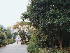 -村上春树