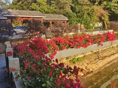 -广州市帽峰山景区
