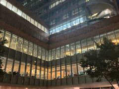 -香港大学