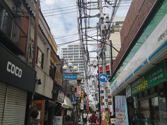 -涩谷区
