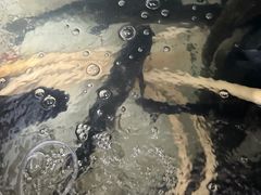 -粤北餐馆