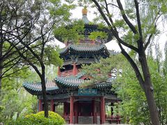 -迎泽公园