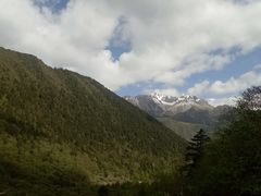-黄龙山原始森林景区