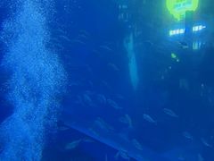 -成都浩海立方海洋公园