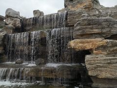 -石家庄市植物园