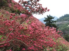 -木兰云雾山