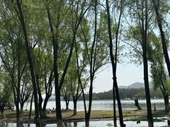 -长广溪湿地公园