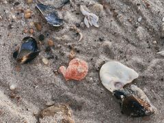 -那香海钻石沙滩浴场