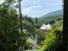 -帐篷客·溪龙茶谷度假酒店