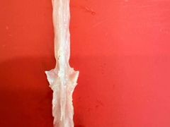 -干老四雅鱼饭店(滨江西路店)