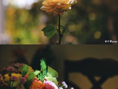 -花满楼(启秀路店)