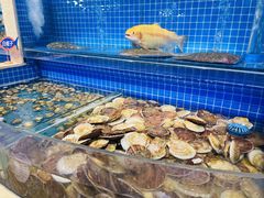 水产区-乔哥铭洋海鲜自助(皇城恒隆广场店)