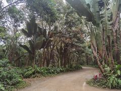 -海南热带野生动植物园