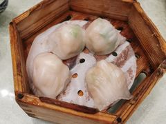 -优之名鹅城