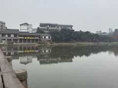 -小杨翘脚牛肉