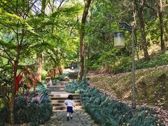 -梦姑塘文化公园