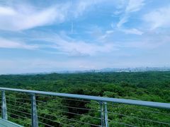 -南京老山国家森林公园