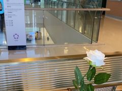 -潮界(LU·ONE凯德晶萃广场店)