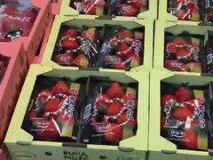 -油麻地果栏