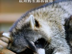 -杭州野生动物世界