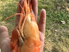 -七的湖·晚芳亭·阳澄湖农家菜·大闸蟹(莲花岛店)