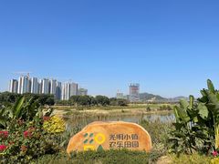 -光明小镇欢乐田园