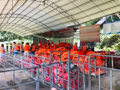 -世界洞漂之王老虎谷漂流